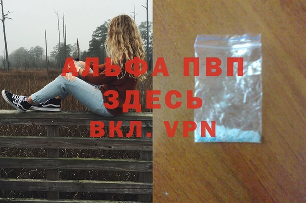ПСИЛОЦИБИНОВЫЕ ГРИБЫ Заводоуковск