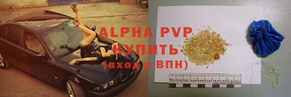 ПСИЛОЦИБИНОВЫЕ ГРИБЫ Заводоуковск