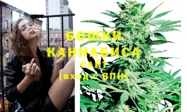ПСИЛОЦИБИНОВЫЕ ГРИБЫ Заводоуковск