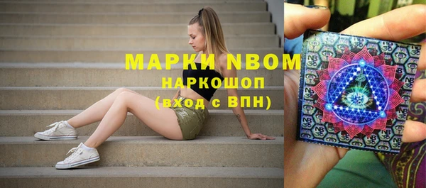 ПСИЛОЦИБИНОВЫЕ ГРИБЫ Заводоуковск