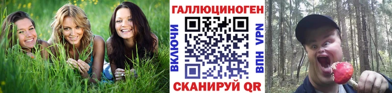 Псилоцибиновые грибы прущие грибы  Купить закладки  Кириллов 